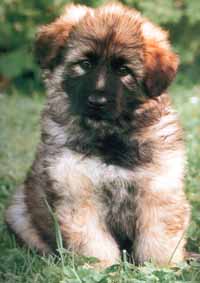 image001
