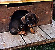 image002